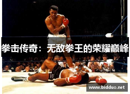 拳击传奇：无敌拳王的荣耀巅峰