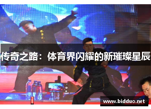 传奇之路：体育界闪耀的新璀璨星辰